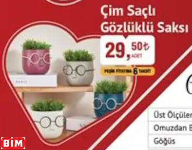 ÇİM SAÇLI GÖZLÜKLÜ SAKSI ÇİM SAÇLI GÖZLÜKLÜ SAKSI